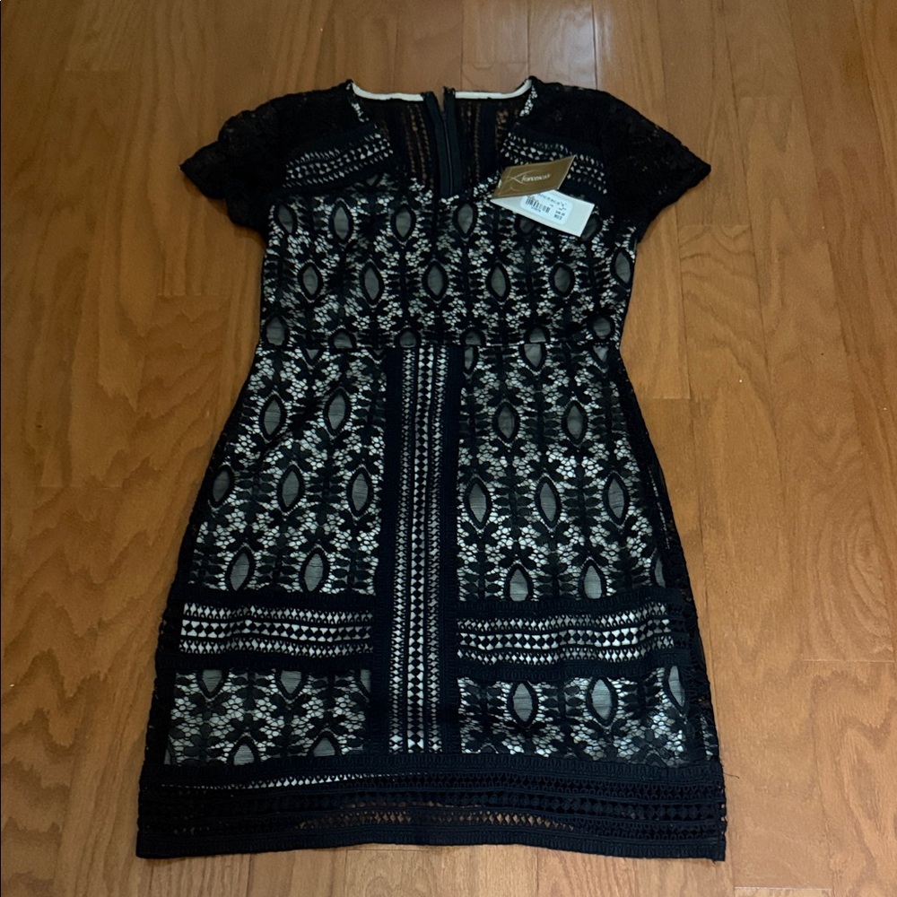 Francesca's Collections Black and Cream Lace Mini Dress
